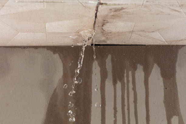 Professional Burst Pipe Cleanup technician working in Speedwell, TN